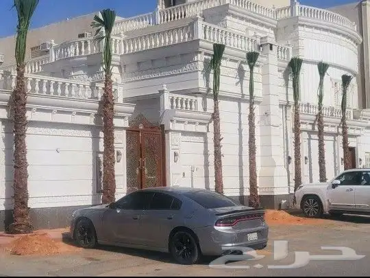 واشنطني ابومروحه درجه اولا 0