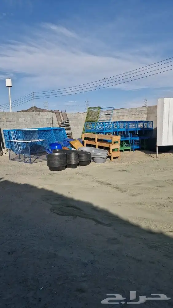 أعلاف ولوازم الطيور والاغنام 0