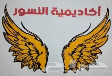CapCut نقدم لكم البعض من الأعمال ف رسم  الجداريات الخارجية 0