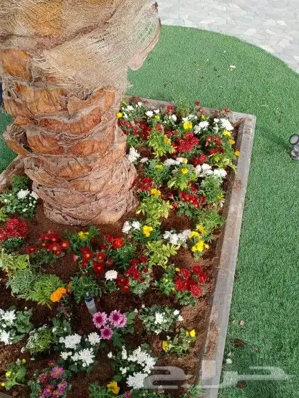 خدمات الزراعة والنخيل وصيانة المنازل والفلل والقصور والضمالز 2