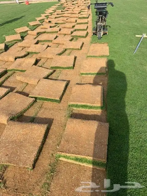 خدمات الزراعة والنخيل وصيانة المنازل والفلل والقصور والضمالز 1