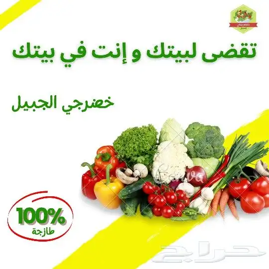 cvو اعلانات و لوقو 3