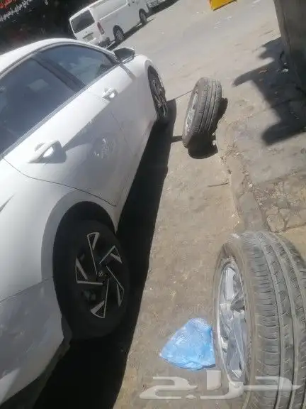 جنوط النتراء 2024 9