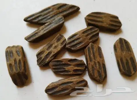 عرض خاص عود تايجر فيتنامي محسن حجم صغير 0