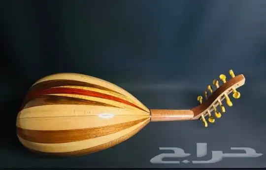 عود موسيقي ظهر مبطط قصعة صغيرة 1