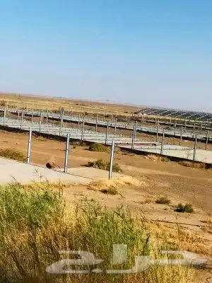حداد 19