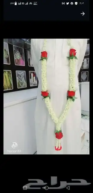 فل بلدي الرياض 0