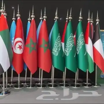 اعلام المملكه العربيه السعوديه 5