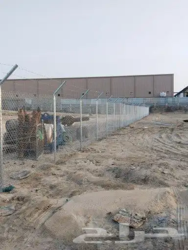 زراعة نخيل 8