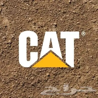 رصاصه لي الإيجار اليومي والشهري داخل وخارج المدينة المنورة 2