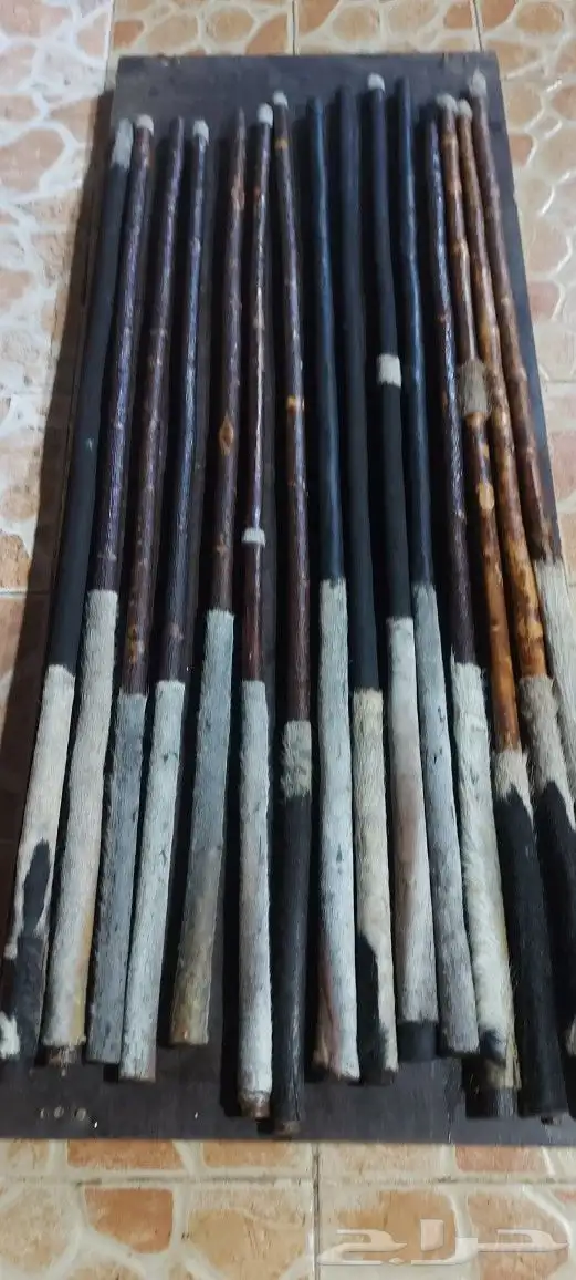 عصي مزمار مسقيه ومجلبه وجاهزه 18