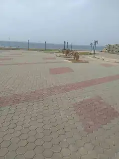 ابو خديجه لتركيب الانترلوك والبلدوره والبلاط في جيزان 6