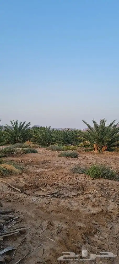 مزرعه للبيع 0
