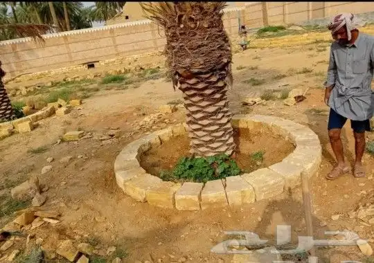 تنفيذ أعمال التراث بيوت حجر  بيوت طين 4