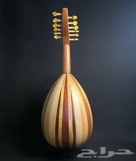 عود بحريني ظهر مبطط وقصعة صغيرة للبيع 2