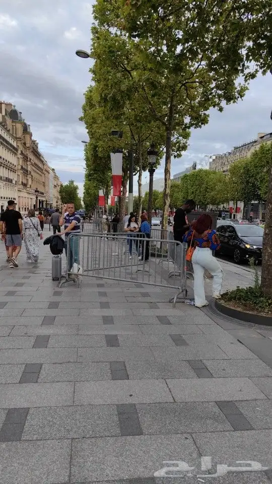 منسق سياحه معتمد 2