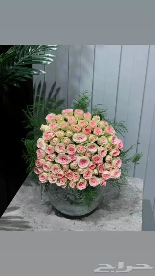 هدايا خميس_مشيط_الرونه_حسام_الراقي_الموسى_البلد_النخيل_البو 9