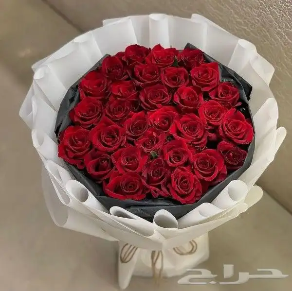 هدايا خميس_مشيط_الرونه_حسام_الراقي_الموسى_البلد_النخيل_البو 6