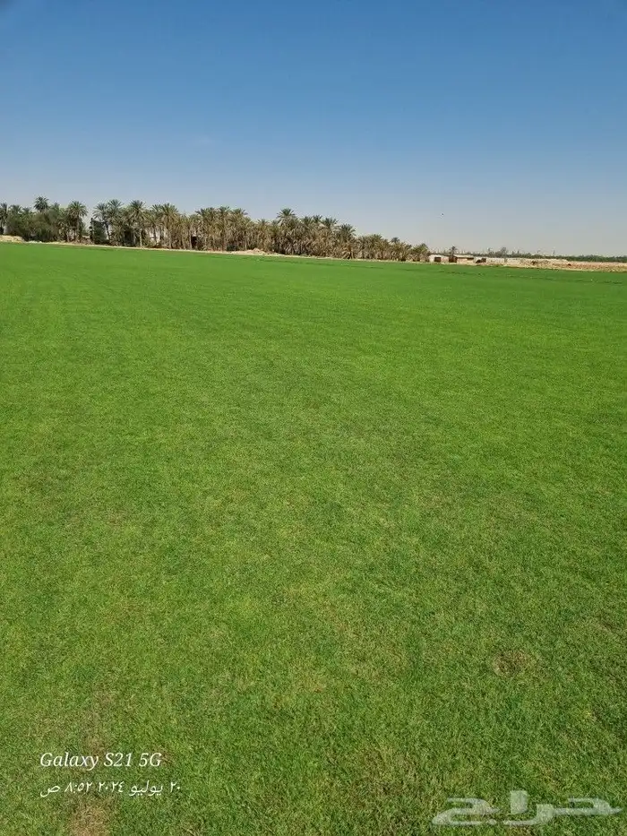 ثيل c2000 4