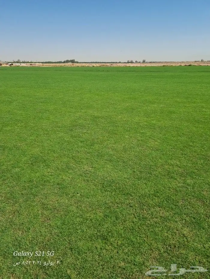 ثيل c2000 5
