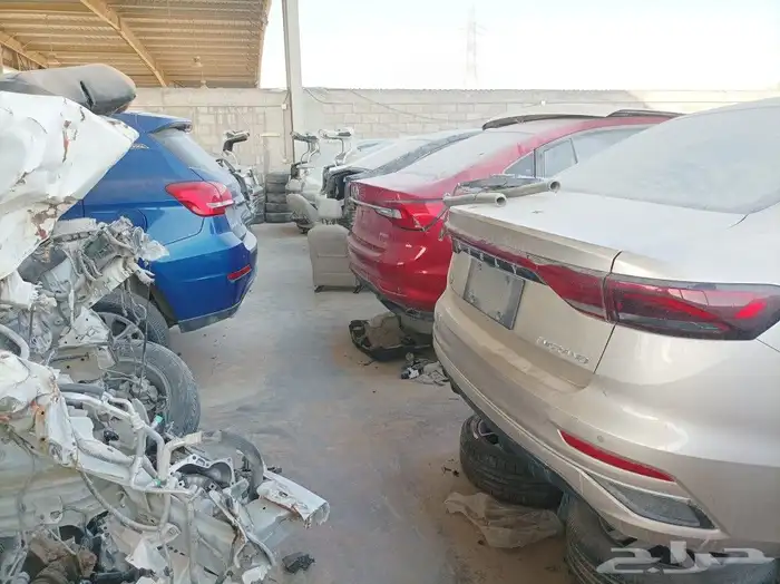 جميع انواع قطع الصيني 0