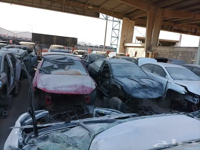 جميع انواع قطع الصيني 3