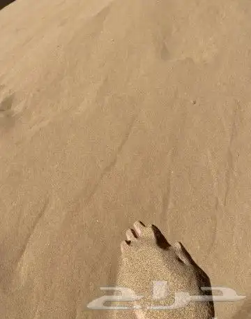 توريد بطحاء تلييس واحجار زينه وكسر رخام ورمل اطفال 17