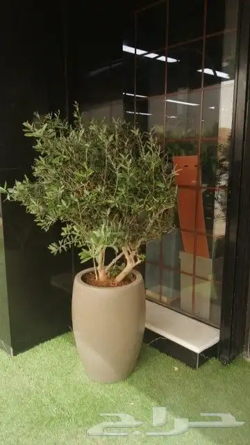 احواض ومراكن للنباتات 9