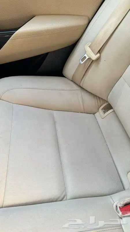 شركة بروفيشنال لغسيل وتلميع السيارات المتنقل 8