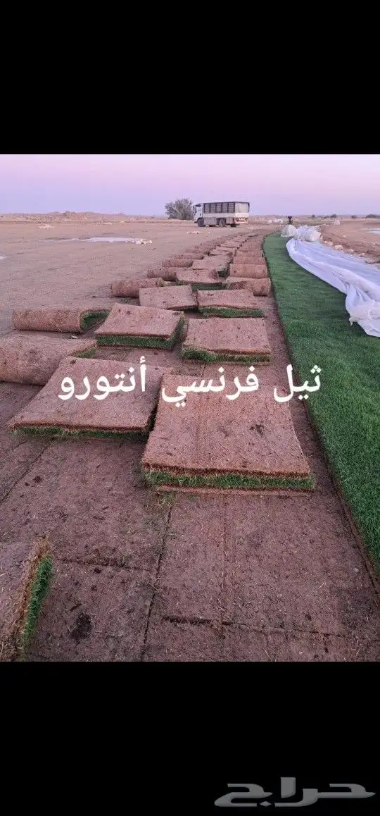 ثيل رياضي فخم 1