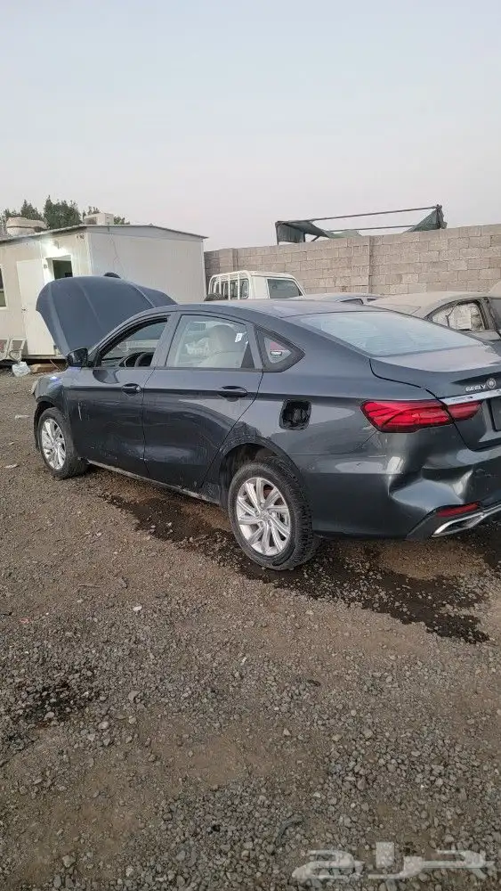 جيلي بينراي 2021 1