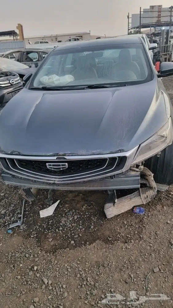 جيلي بينراي 2021 6