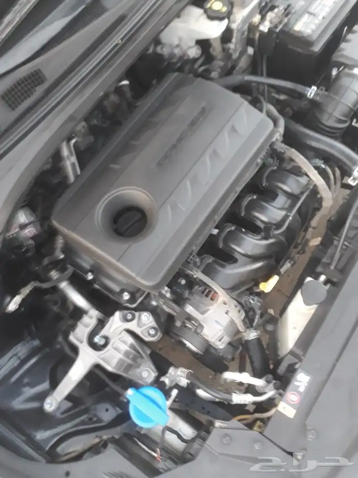 مكينه كرنفال 0