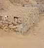 معلم حجر طبيعي بجميع انواعه 8