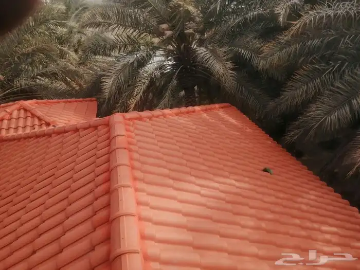 قرميد الاحساء 2