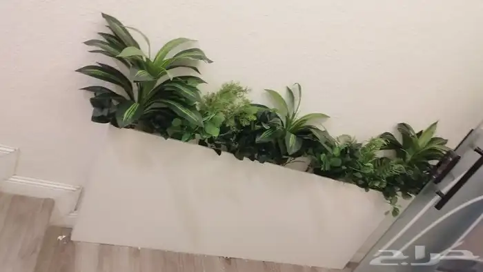 اشجار زيتون صناعي 5