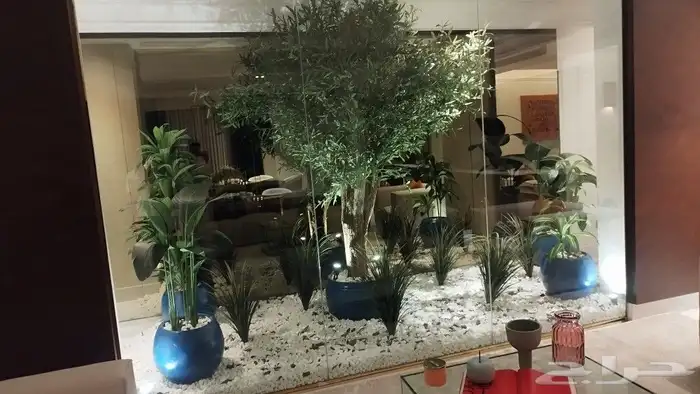 اشجار زيتون صناعي 2