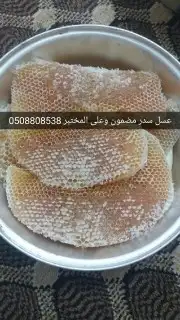 عسل طلح عسل سدر عسل سمرة مضمون وعلى الشرط 6