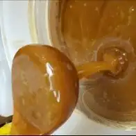 عسل طلح عسل سدر عسل سمرة مضمون وعلى الشرط 1