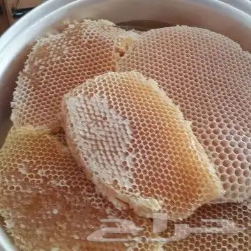عسل طلح عسل سدر عسل سمرة مضمون وعلى الشرط 3