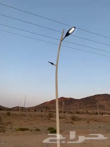 اعمده. واناره. الشوراع 2