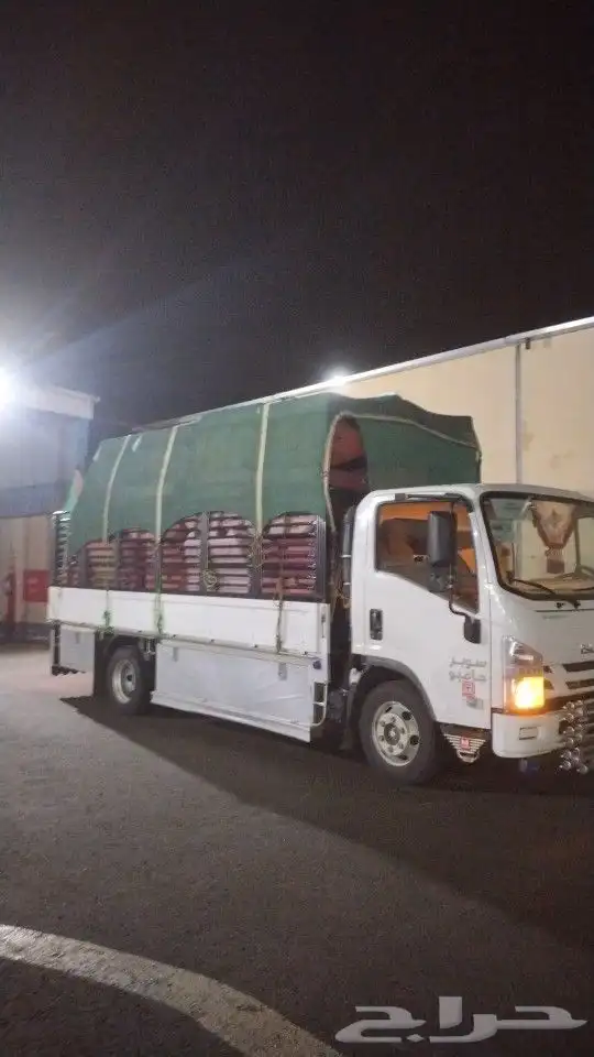 دينا الرياض 0