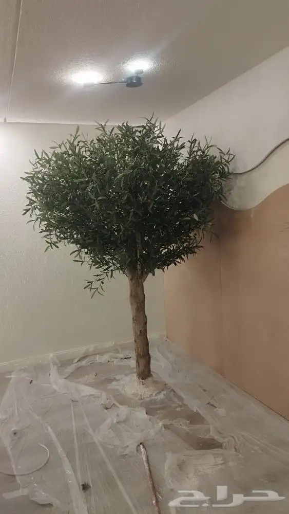 اشجار زيتون صناعي 6