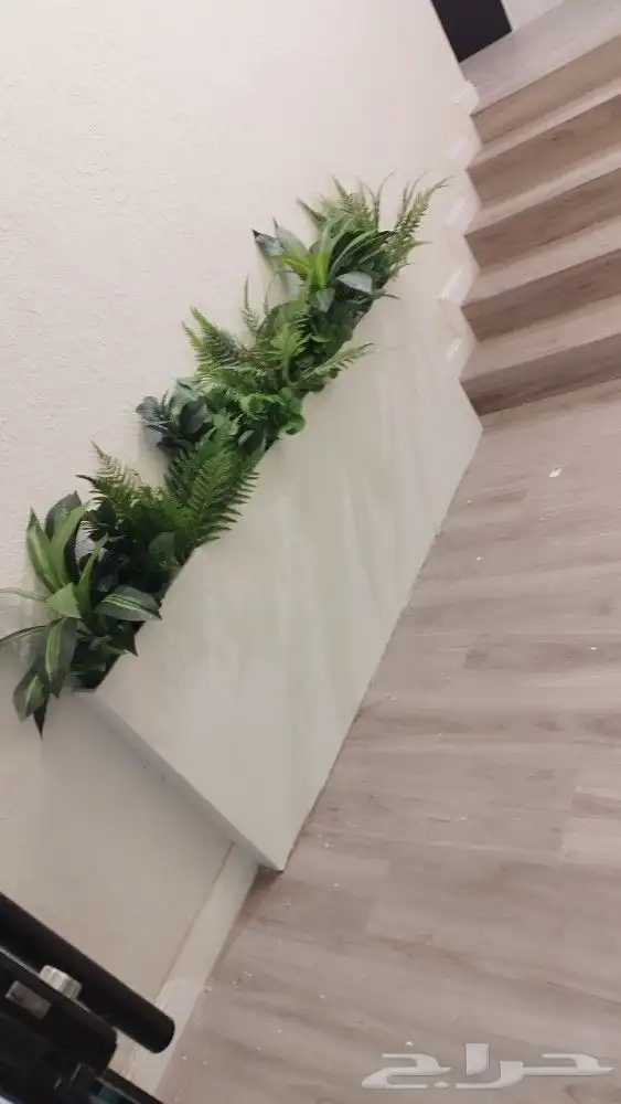 اشجار زيتون صناعي 3