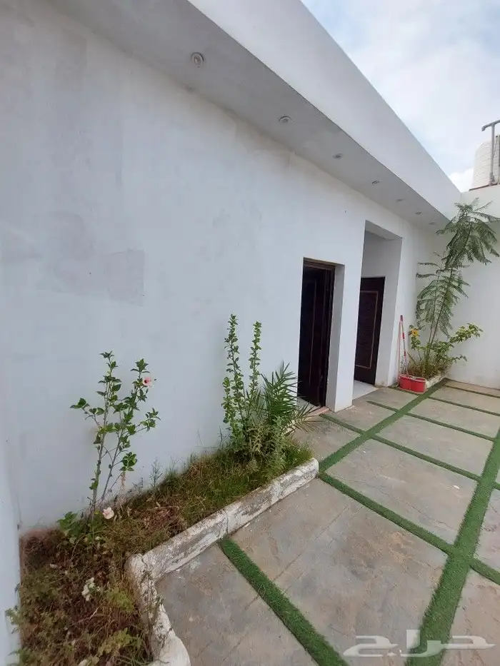 استراحه للايجار 1