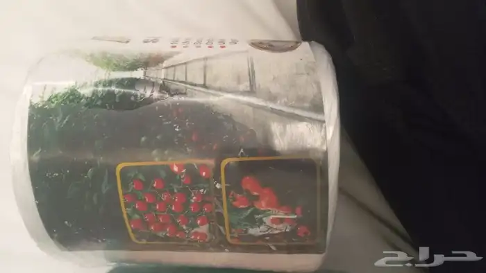 حبال للبيوت محمية 1