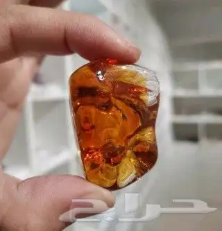 الجديد وصل ثريات تفصيل فاخر من الاخر 7