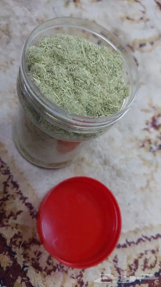 بهار مطحون المرخ 1