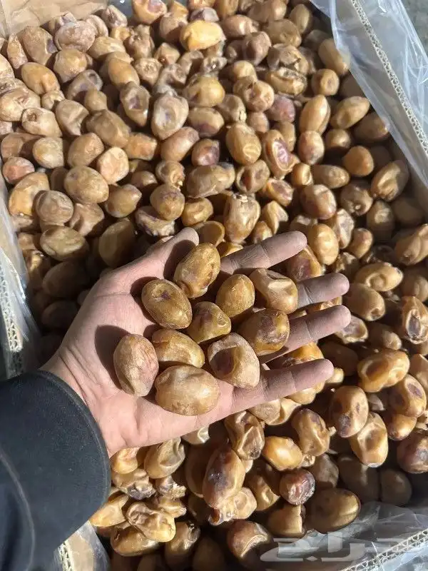 تمور 0
