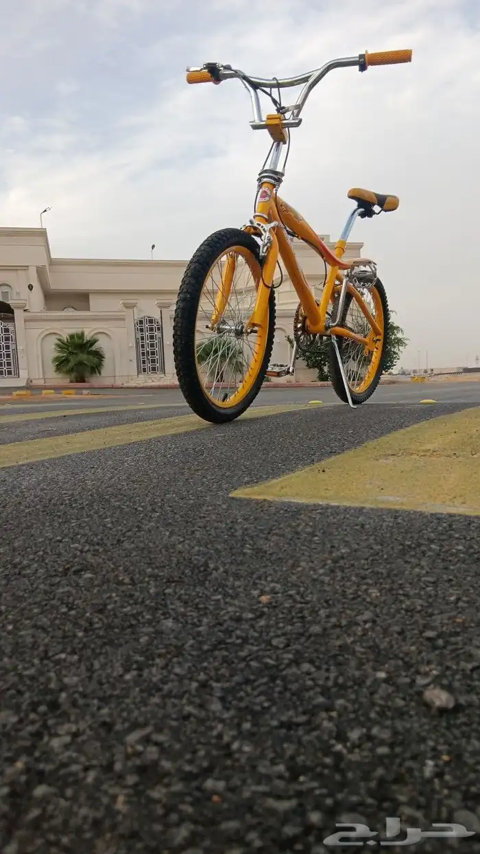 سيكل كوبرا مقاس 20 5